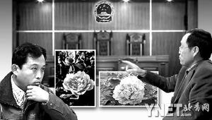 花农进京状告林大教授剽窃植物新品种权