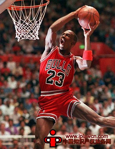 解析乔丹商标案两焦点：国际大牌被指故意养猪