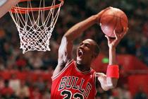 解析乔丹商标案两焦点：国际大牌被指故意养猪