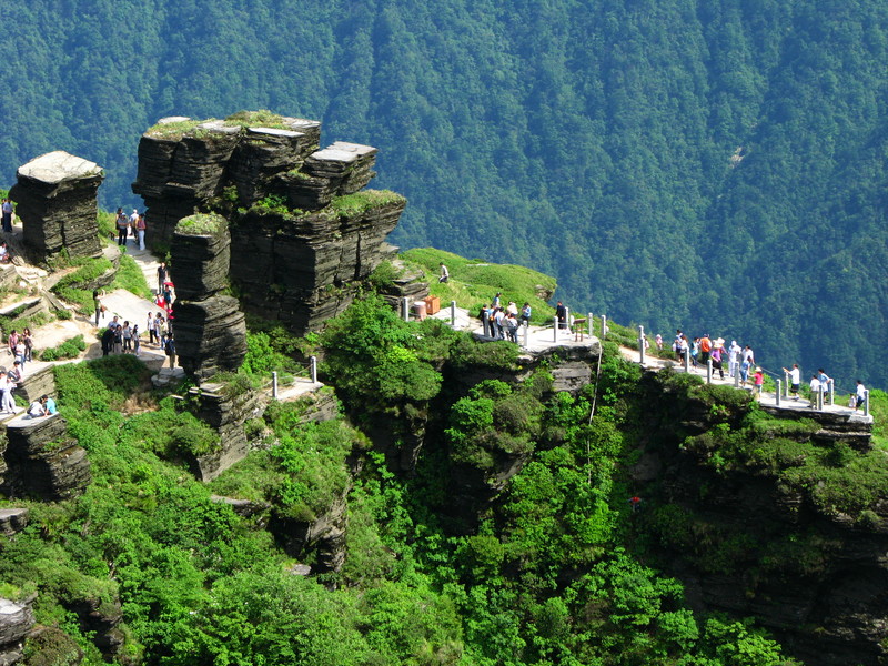 国家工商总局商标局来铜调研“梵净山”商标异议案件